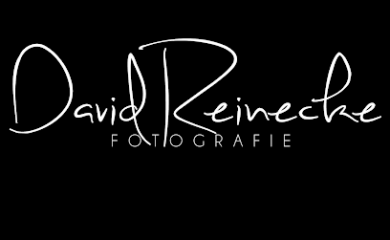 Hochzeitsfotografen in Stendal 2 Fotograf David Reinecke Fotografie