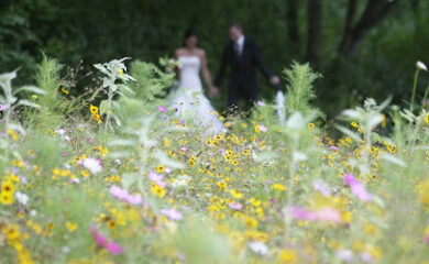Hochzeitsfotografen in Freiburg im Breisgau 3 Fotograf Fotostudio Milena