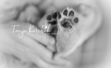 Fotograf Tanja Korczak Fotografie