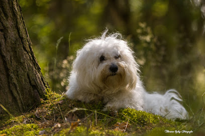 Fotograf Thorsten Ophey Fotografie