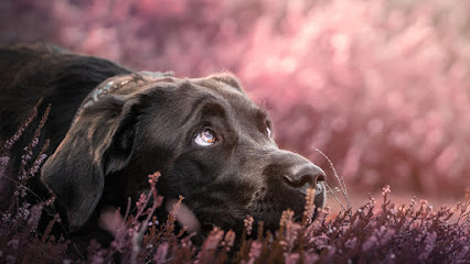 Fotograf Tierfotografie Jessica Reim