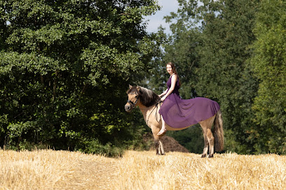 Fotostudio Daniela Drews Fotografie