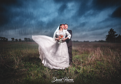 PatLografie - Patrick Lucia 2 Hochzeitsfotograf Hochzeitsfotograf Fotobox Hochzeitsfilm für Hochzeiten - David Harex